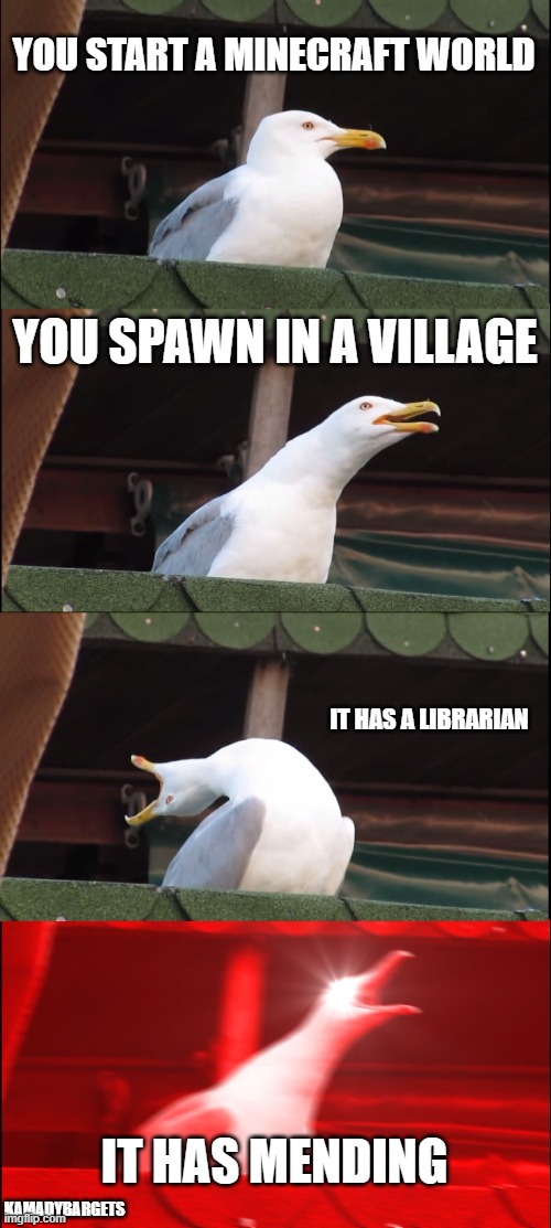 a good minecraft world | YOU START A MINECRAFT WORLD; YOU SPAWN IN A VILLAGE; IT HAS A LIBRARIAN; IT HAS MENDING; KAMADYBARGETS | image tagged in memes,inhaling seagull,minecraft | made w/ Imgflip meme maker