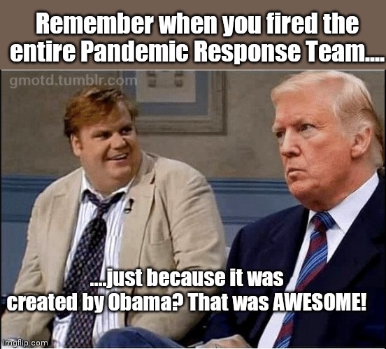 Farley and tRump | Remember when you fired the entire Pandemic Response Team.... ....just because it was created by Obama? That was AWESOME! | image tagged in donald trump approves | made w/ Imgflip meme maker