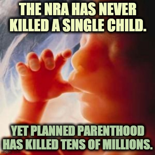 Actual truth. The Democrats have no idea what truth is. ALL they do is LIE and exploit the INNOCENT. | THE NRA HAS NEVER KILLED A SINGLE CHILD. YET PLANNED PARENTHOOD HAS KILLED TENS OF MILLIONS. | image tagged in fetus,biden tongues children | made w/ Imgflip meme maker