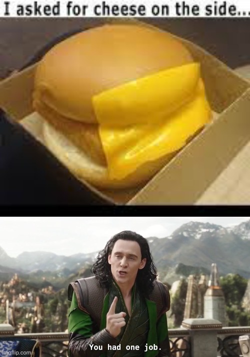 McDonald's wifi, now McDonald's BRAIN wifi. | image tagged in i asked for cheese,you had one job just the one | made w/ Imgflip meme maker