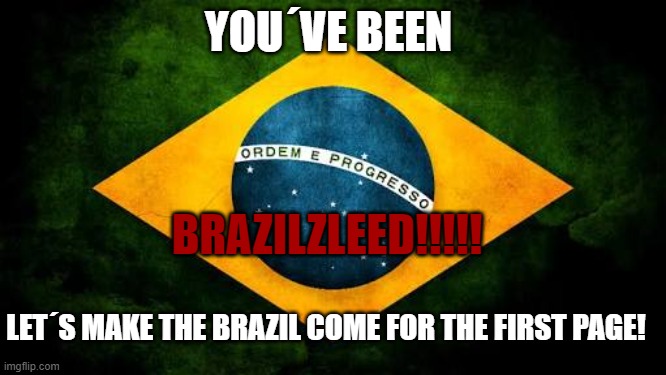 Brazilzleed!! | YOU´VE BEEN; BRAZILZLEED!!!!! LET´S MAKE THE BRAZIL COME FOR THE FIRST PAGE! | image tagged in brazil flag | made w/ Imgflip meme maker