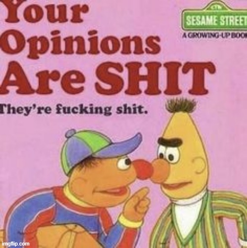 Your opinions are shit | image tagged in your opinions are shit | made w/ Imgflip meme maker