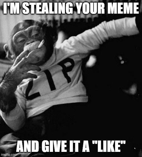 Steal Meme Zip | I'M STEALING YOUR MEME; AND GIVE IT A "LIKE" | image tagged in monkey smoke zip | made w/ Imgflip meme maker