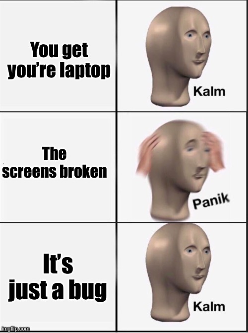 Lol this happens to me | You get you’re laptop; The screens broken; It’s just a bug | image tagged in reverse kalm panik | made w/ Imgflip meme maker
