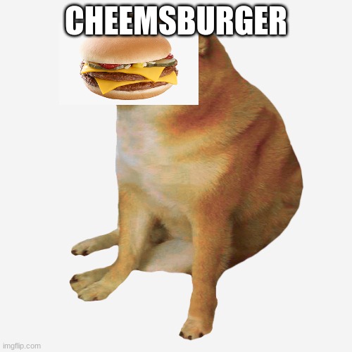 cheems | CHEEMSBURGER | image tagged in cheems | made w/ Imgflip meme maker