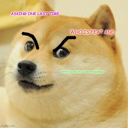 Doge | ASKING ONE LAST TIME; WHO IS FEAT AND; WHY IS HE IN SO MANY SONGS | image tagged in memes,doge | made w/ Imgflip meme maker