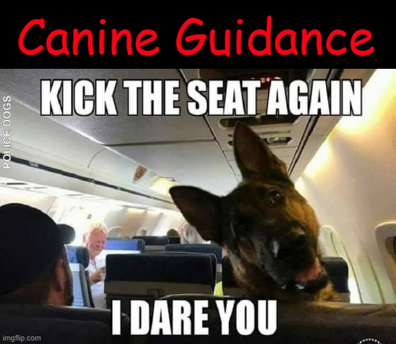 Canine Advice | Canine Guidance | image tagged in police dogs | made w/ Imgflip meme maker