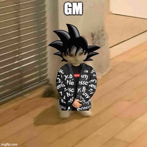 goku drip cat | GM | image tagged in goku drip cat | made w/ Imgflip meme maker