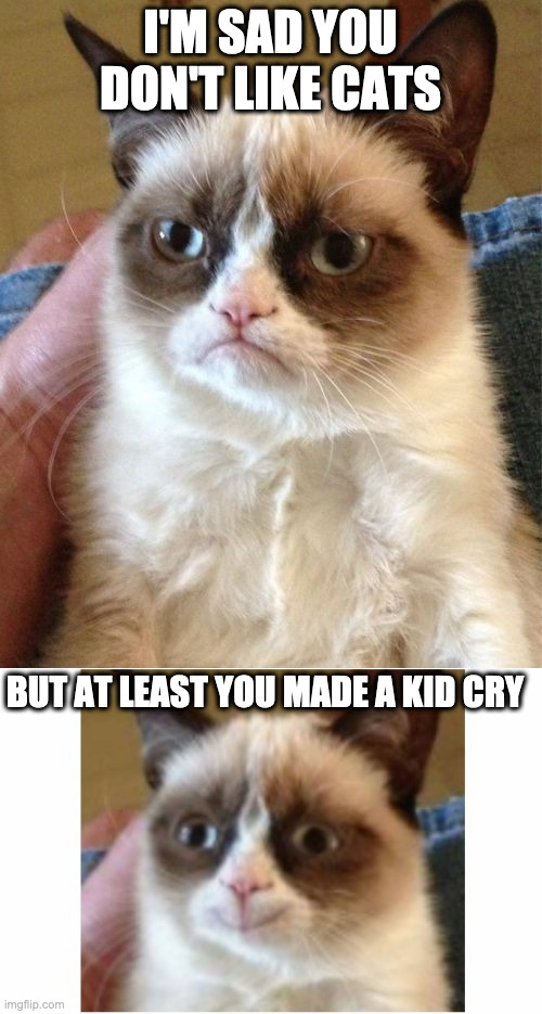 I'M SAD YOU DON'T LIKE CATS BUT AT LEAST YOU MADE A KID CRY | image tagged in memes,grumpy cat,happy for the first time | made w/ Imgflip meme maker