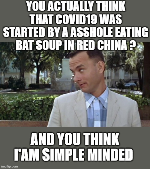 Forrest Gump Face | YOU ACTUALLY THINK THAT COVID19 WAS STARTED BY A ASSHOLE EATING BAT SOUP IN RED CHINA ? AND YOU THINK I'AM SIMPLE MINDED | image tagged in msm,democrats,fascism | made w/ Imgflip meme maker
