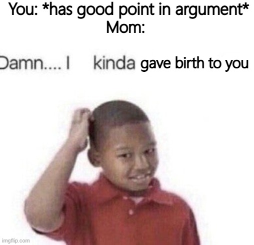 r/everymom | You: *has good point in argument*; Mom:; gave birth to you | image tagged in damn i kinda don't care,mom,argument | made w/ Imgflip meme maker