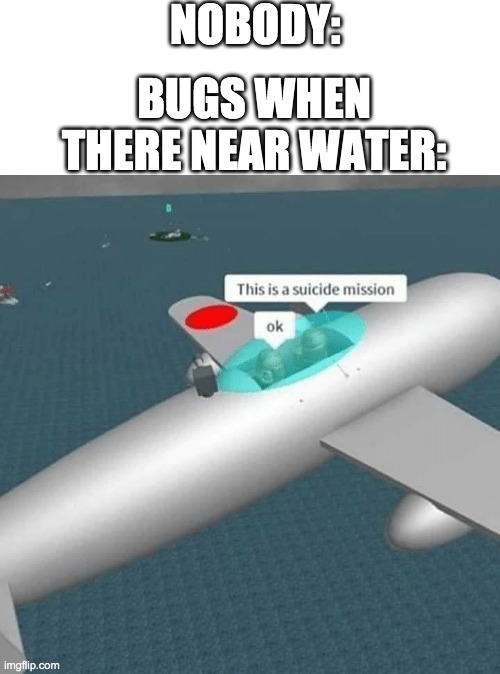 they do be like that | NOBODY:; BUGS WHEN THERE NEAR WATER: | image tagged in suicide mission | made w/ Imgflip meme maker