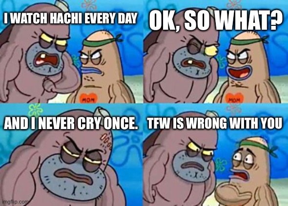 How Tough Are You | OK, SO WHAT? I WATCH HACHI EVERY DAY; AND I NEVER CRY ONCE. TFW IS WRONG WITH YOU | image tagged in memes,how tough are you | made w/ Imgflip meme maker