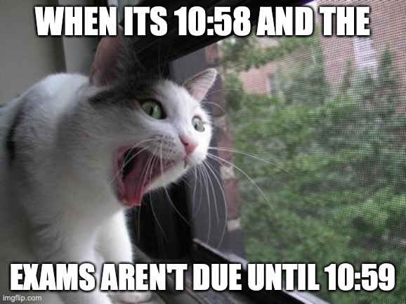 Screaming Cat | WHEN ITS 10:58 AND THE; EXAMS AREN'T DUE UNTIL 10:59 | image tagged in screaming cat | made w/ Imgflip meme maker