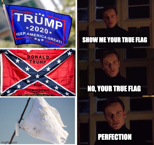 True Lack of Colors | SHOW ME YOUR TRUE FLAG; NO, YOUR TRUE FLAG; PERFECTION | image tagged in perfection,racism,confederacy,trump,losers | made w/ Imgflip meme maker