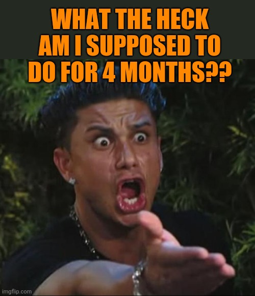 DJ Pauly D Meme | WHAT THE HECK AM I SUPPOSED TO DO FOR 4 MONTHS?? | image tagged in memes,dj pauly d | made w/ Imgflip meme maker