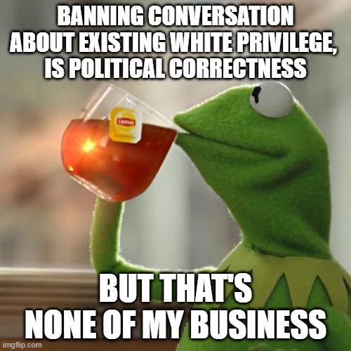 But That's None Of My Business | BANNING CONVERSATION ABOUT EXISTING WHITE PRIVILEGE, 
IS POLITICAL CORRECTNESS; BUT THAT'S NONE OF MY BUSINESS | image tagged in memes,but that's none of my business,kermit the frog | made w/ Imgflip meme maker
