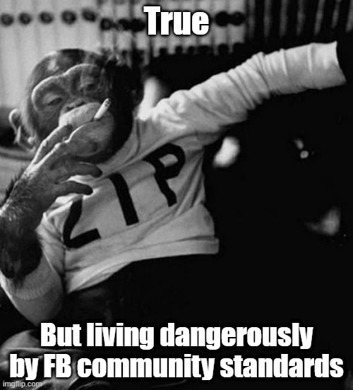 True | True; But living dangerously by FB community standards | image tagged in monkey smoke zip | made w/ Imgflip meme maker