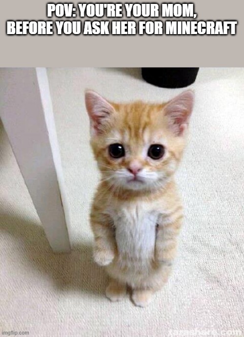 Cute Cat | POV: YOU'RE YOUR MOM, BEFORE YOU ASK HER FOR MINECRAFT | image tagged in memes,cute cat | made w/ Imgflip meme maker