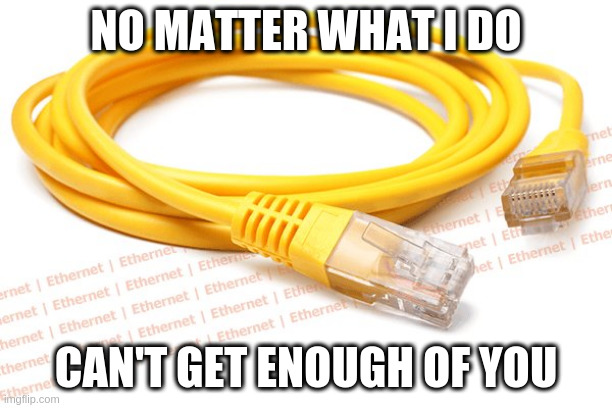NO MATTER WHAT I DO; CAN'T GET ENOUGH OF YOU | image tagged in ethernet,internet,cable,cat5,tech,humor | made w/ Imgflip meme maker