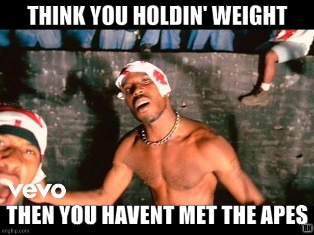 Oh you think its funny? we gettin AMC money | THINK YOU HOLDIN' WEIGHT; THEN YOU HAVENT MET THE APES; RN | image tagged in dmx,amc,apes,hodl | made w/ Imgflip meme maker