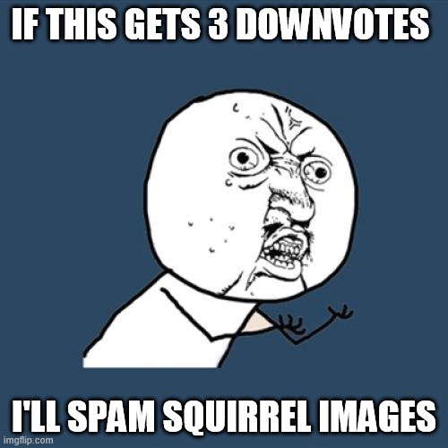 Just tell me if you downvote | IF THIS GETS 3 DOWNVOTES; I'LL SPAM SQUIRREL IMAGES | image tagged in memes,y u no | made w/ Imgflip meme maker