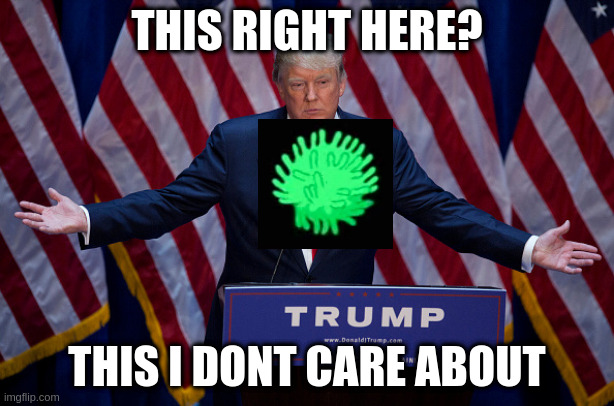 Donald Trump | THIS RIGHT HERE? THIS I DONT CARE ABOUT | image tagged in donald trump | made w/ Imgflip meme maker