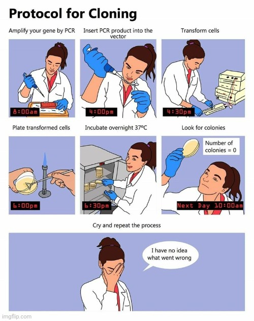 Wha- | image tagged in funny,cloning,science,whyyy,comics | made w/ Imgflip meme maker