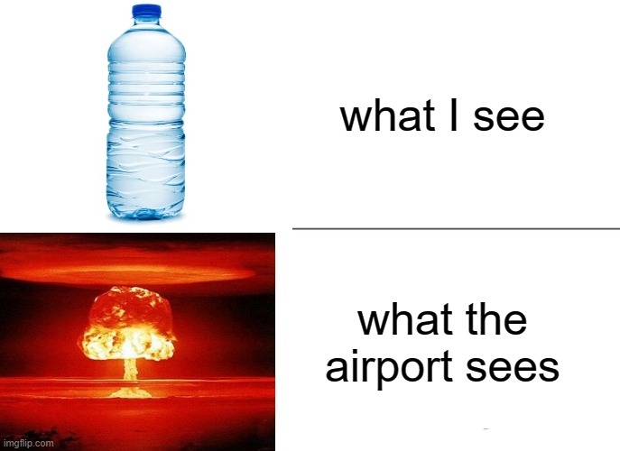Airports be like | what I see; what the airport sees | image tagged in memes,tuxedo winnie the pooh | made w/ Imgflip meme maker