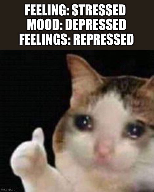 I’m fine… | FEELING: STRESSED 
MOOD: DEPRESSED
FEELINGS: REPRESSED | image tagged in approved crying cat,this is fine,depression sadness hurt pain anxiety | made w/ Imgflip meme maker