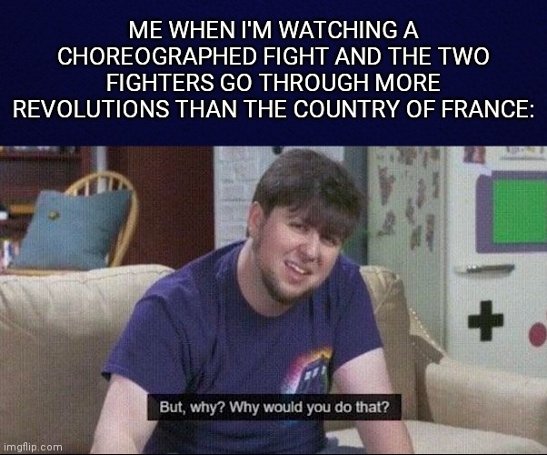 ME WHEN I'M WATCHING A CHOREOGRAPHED FIGHT AND THE TWO FIGHTERS GO THROUGH MORE REVOLUTIONS THAN THE COUNTRY OF FRANCE: | image tagged in but why why would you do that,swords,fighting,spinning,france | made w/ Imgflip meme maker