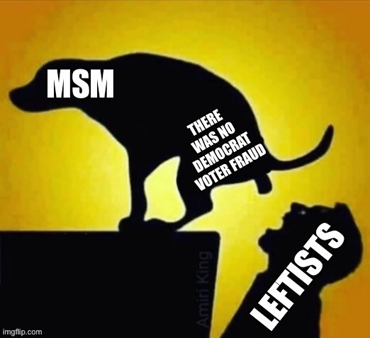 MSM feeding the Leftists | THERE WAS NO DEMOCRAT VOTER FRAUD | image tagged in msm feeding the leftists | made w/ Imgflip meme maker