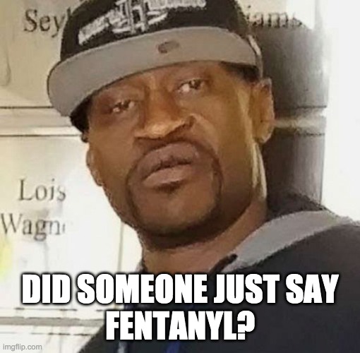 George Floyd | DID SOMEONE JUST SAY
FENTANYL? | image tagged in george floyd | made w/ Imgflip meme maker