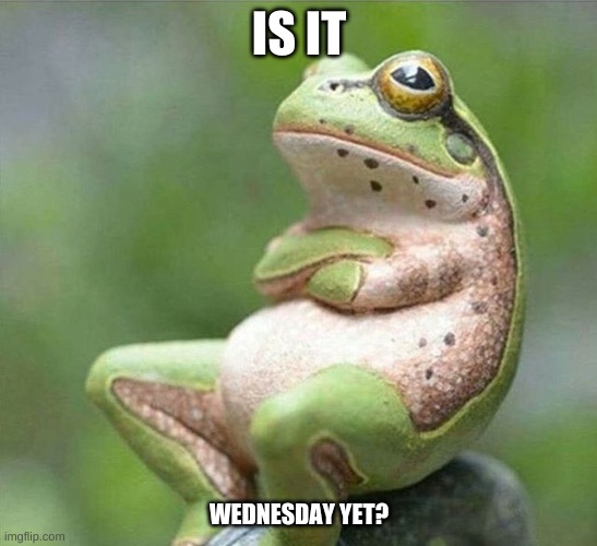 :/ i like wednesday | IS IT; WEDNESDAY YET? | image tagged in frog thinking | made w/ Imgflip meme maker