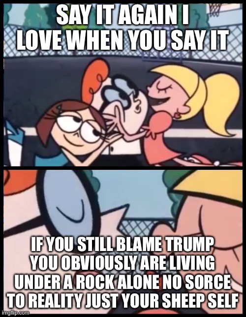 Seriously why do people still think they can blame biden BS on trump | SAY IT AGAIN I LOVE WHEN YOU SAY IT; IF YOU STILL BLAME TRUMP YOU OBVIOUSLY ARE LIVING UNDER A ROCK ALONE NO SOURCE  TO REALITY JUST YOUR SHEEP SELF | image tagged in memes,say it again dexter,liberal logic,donald trump,sheeple,rock | made w/ Imgflip meme maker