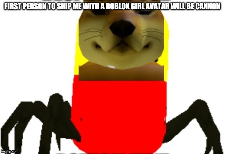 I am scared | FIRST PERSON TO SHIP ME WITH A ROBLOX GIRL AVATAR WILL BE CANNON | image tagged in spooder | made w/ Imgflip meme maker