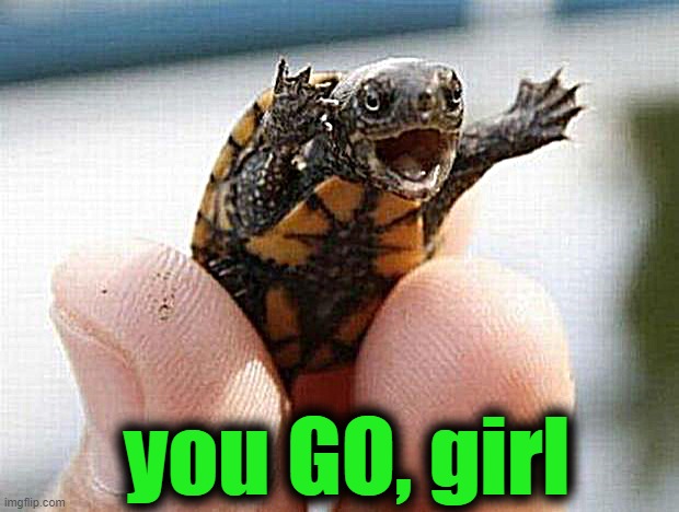 happy baby turtle | you GO, girl | image tagged in happy baby turtle | made w/ Imgflip meme maker