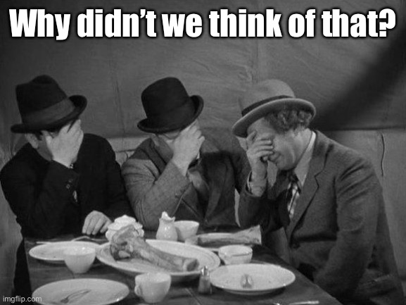 Stooges Facepalm | Why didn’t we think of that? | image tagged in stooges facepalm | made w/ Imgflip meme maker