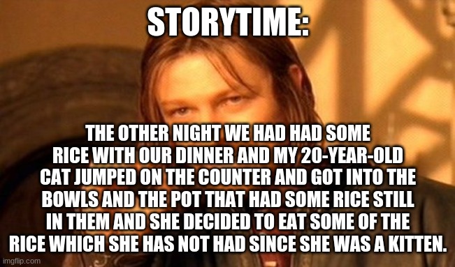 One Does Not Simply | STORYTIME:; THE OTHER NIGHT WE HAD HAD SOME RICE WITH OUR DINNER AND MY 20-YEAR-OLD CAT JUMPED ON THE COUNTER AND GOT INTO THE BOWLS AND THE POT THAT HAD SOME RICE STILL IN THEM AND SHE DECIDED TO EAT SOME OF THE RICE WHICH SHE HAS NOT HAD SINCE SHE WAS A KITTEN. | image tagged in memes,one does not simply | made w/ Imgflip meme maker
