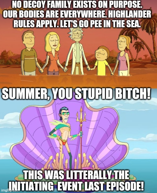 No decoy family exists on purpose | NO DECOY FAMILY EXISTS ON PURPOSE. OUR BODIES ARE EVERYWHERE. HIGHLANDER RULES APPLY. LET'S GO PEE IN THE SEA. SUMMER, YOU STUPID BITCH! THIS WAS LITTERALLY THE INITIATING  EVENT LAST EPISODE! | image tagged in rick and morty,summer you stupid bitch,mr nimbus,decoy family | made w/ Imgflip meme maker