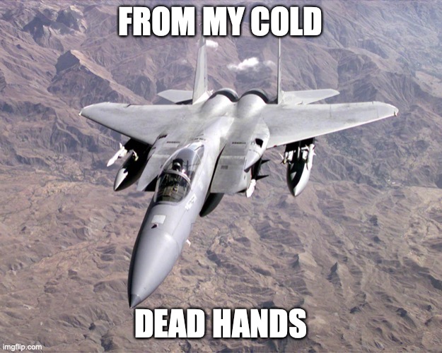 From My Cold Dead hands | FROM MY COLD; DEAD HANDS | image tagged in f-15,dumbass biden,2nd amendment | made w/ Imgflip meme maker