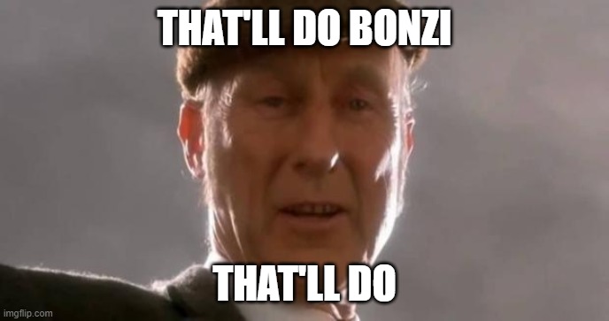 That'll do pig | THAT'LL DO BONZI; THAT'LL DO | image tagged in that'll do pig | made w/ Imgflip meme maker