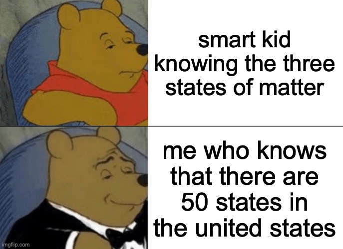 Tuxedo Winnie The Pooh | smart kid knowing the three states of matter; me who knows that there are 50 states in the united states | image tagged in memes,tuxedo winnie the pooh | made w/ Imgflip meme maker