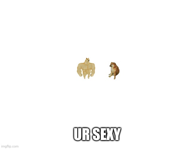 Smol buff doge vs cheems | UR SEXY | image tagged in smol buff doge vs cheems | made w/ Imgflip meme maker