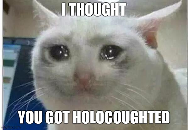 crying cat | I THOUGHT YOU GOT HOLOCOUGHTED | image tagged in crying cat | made w/ Imgflip meme maker