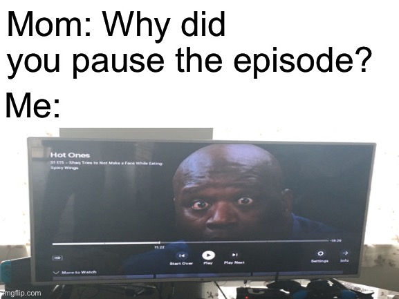 Found the meme! | Mom: Why did you pause the episode? Me: | image tagged in memes,spicy memes,spicy,meme faces | made w/ Imgflip meme maker