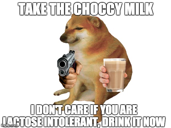choccy milk | TAKE THE CHOCCY MILK; I DON'T CARE IF YOU ARE LACTOSE INTOLERANT, DRINK IT NOW | image tagged in choccy milk | made w/ Imgflip meme maker