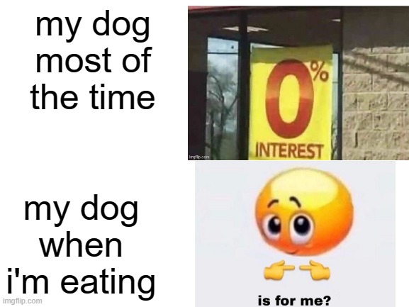 dogo |  my dog most of the time; my dog when i'm eating | image tagged in gas station,memes,doge | made w/ Imgflip meme maker