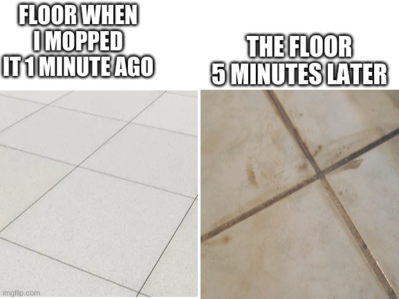 Blank White Template | THE FLOOR 5 MINUTES LATER; FLOOR WHEN I MOPPED IT 1 MINUTE AGO | image tagged in blank white template | made w/ Imgflip meme maker