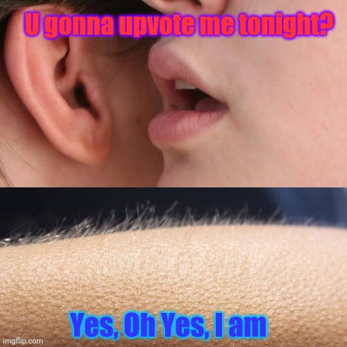 Whisper and Goosebumps | U gonna upvote me tonight? Yes, Oh Yes, I am | image tagged in whisper and goosebumps,yes baby,upvote | made w/ Imgflip meme maker